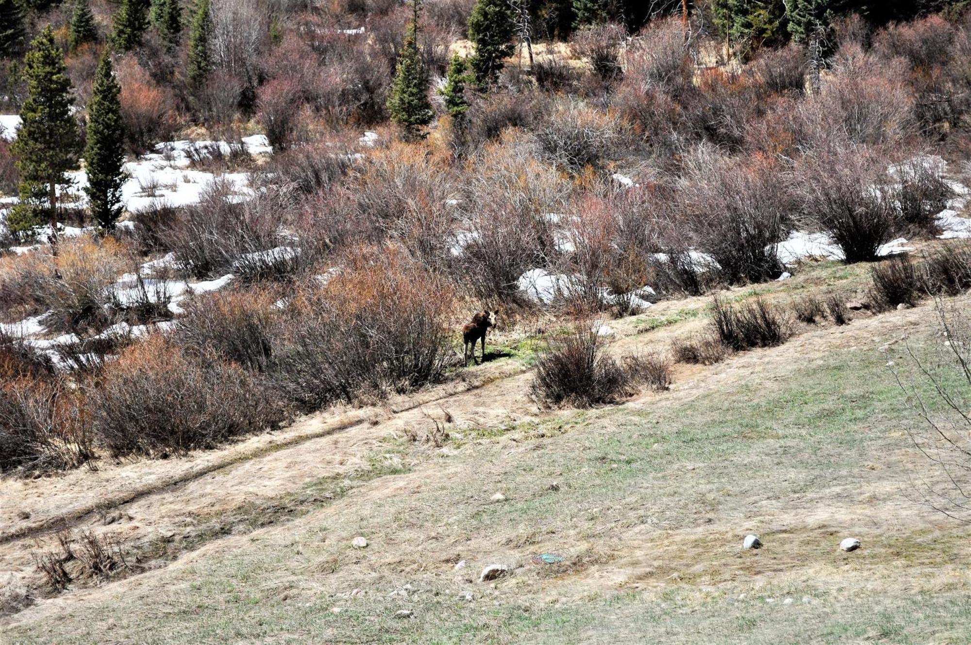 Forest Park 3 Bed 4 Bath Twnhm Htjm Silverthorne Exterior foto